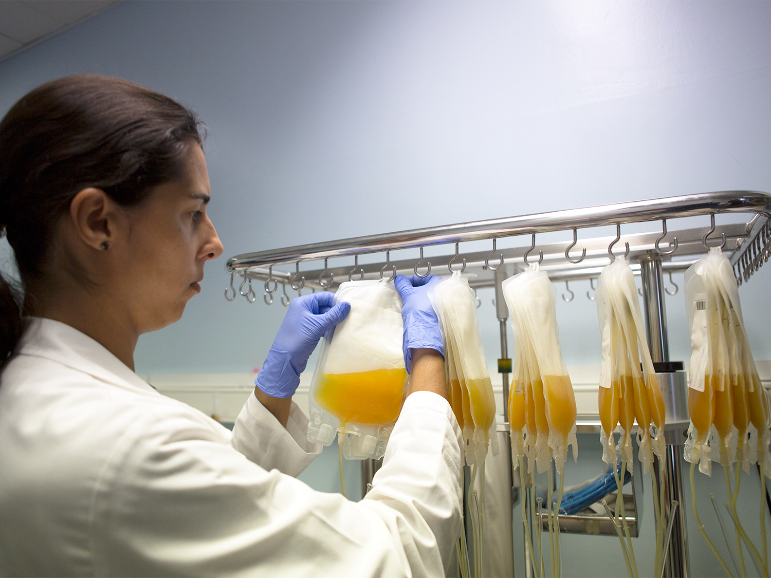 woman hanging plasma bags