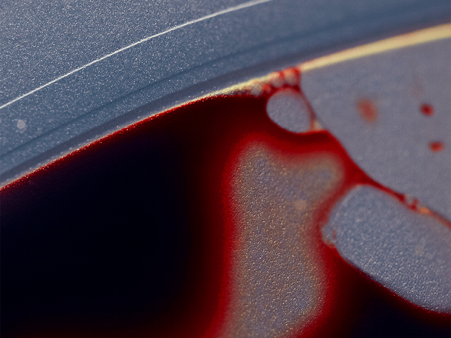 close up of blood in a blood bag