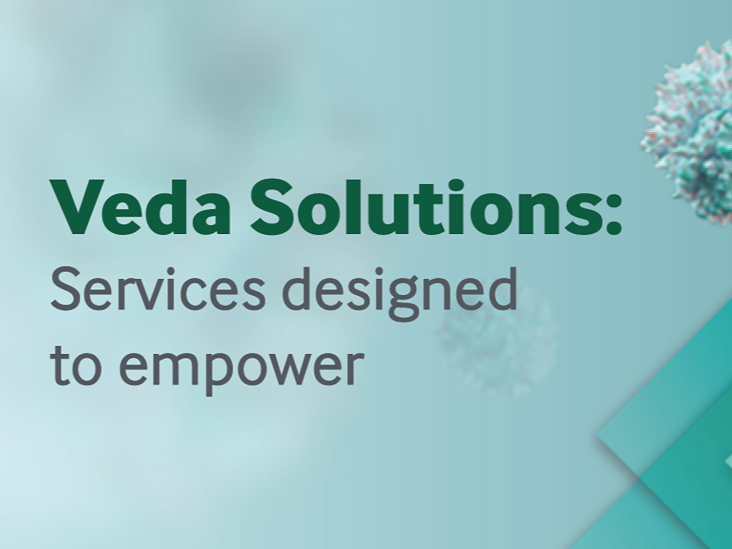 Veda Solutions: Services designed to empower