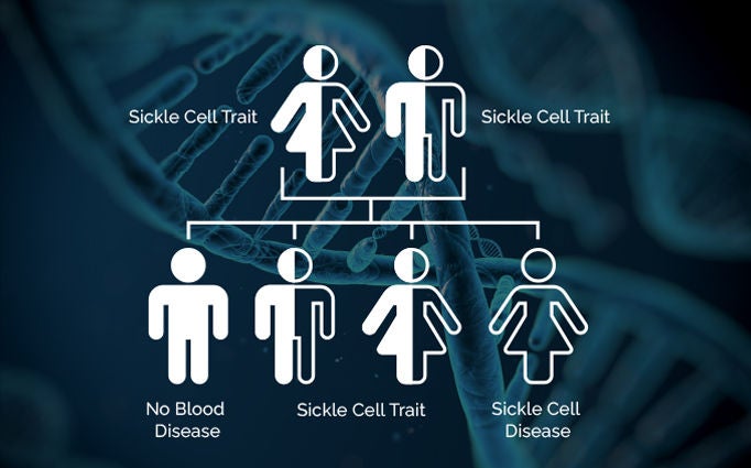 sickle cell disease trait diagram