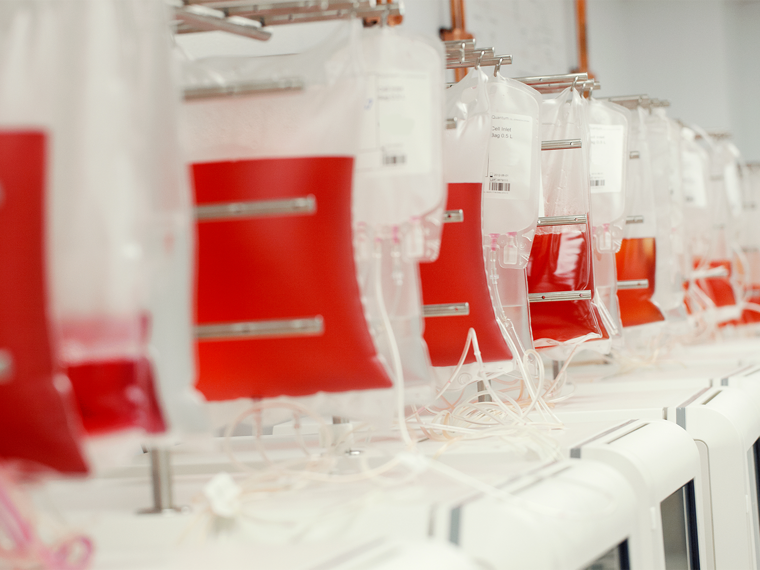 Line of blood bags hanging above a device