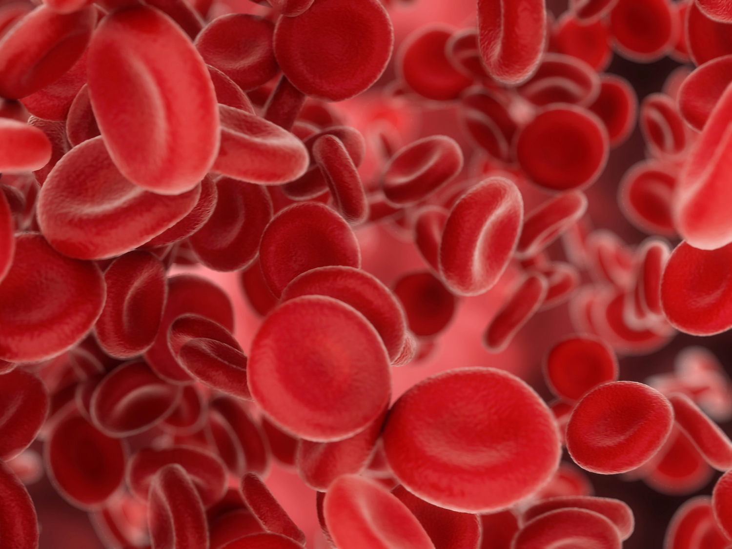 Red blood cells