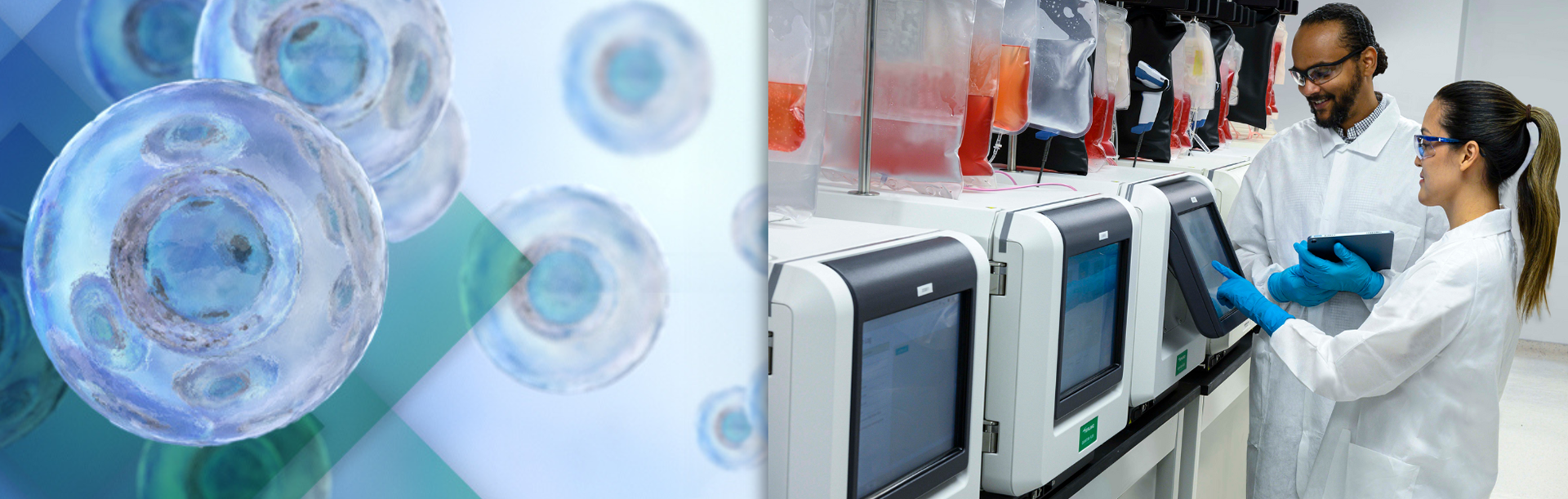 Terumo Blood and Cell Technologies collaborates with Nova Biomedical to bring automated cell culture sensing to Quantum Flex  