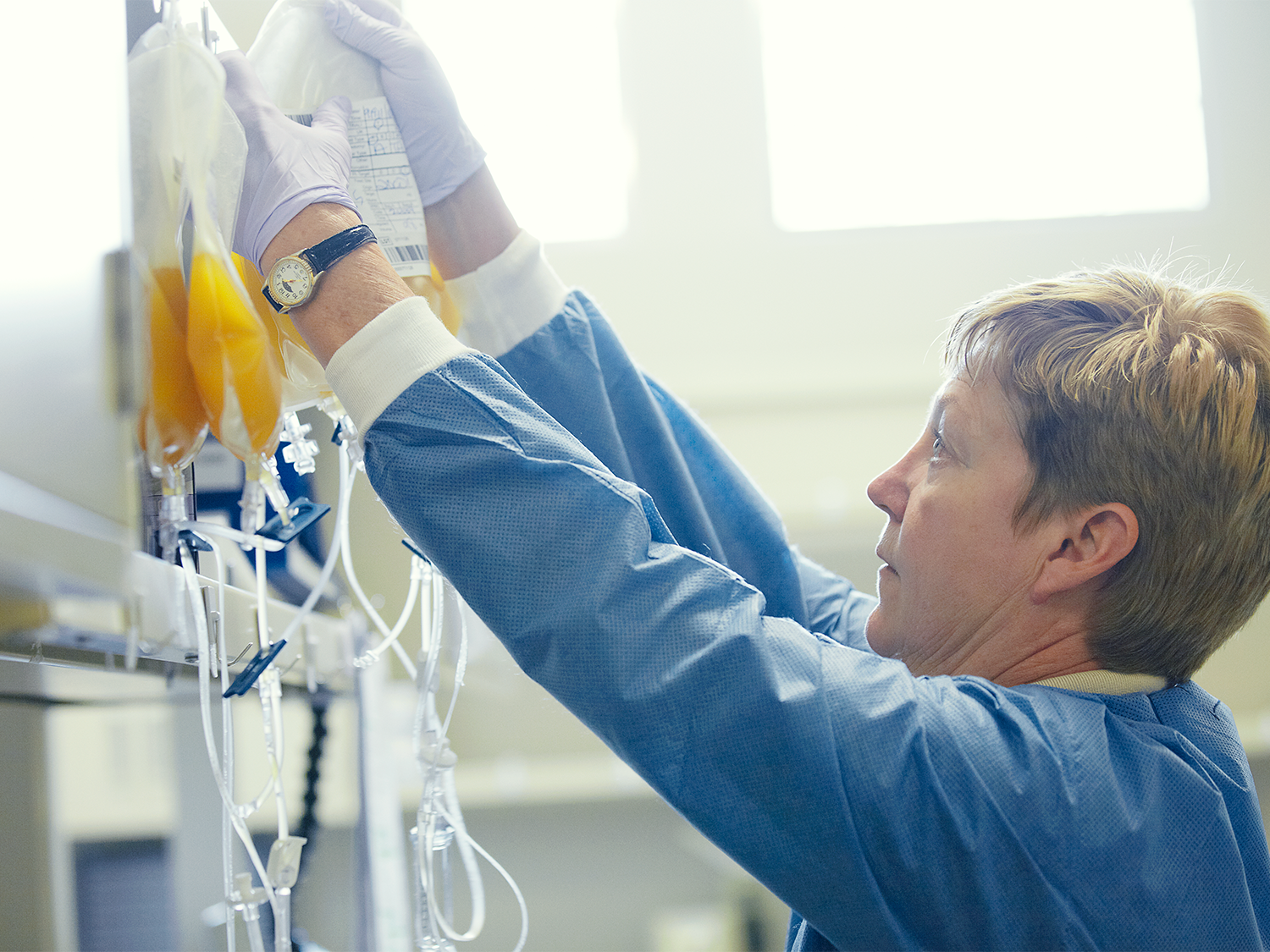 Person hanging a plasma bag