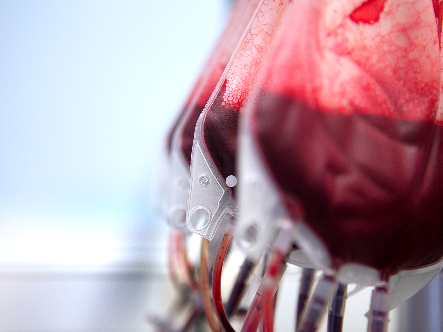 blood bags hanging in a row